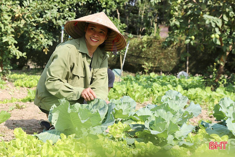 Vườn mẫu không chỉ giúp người dân xã Quang Thọ nâng cao thu nhập mà còn góp phần làm đẹp cảnh quan khu dân cư. bqbht_br_img-0115-copy.jpg