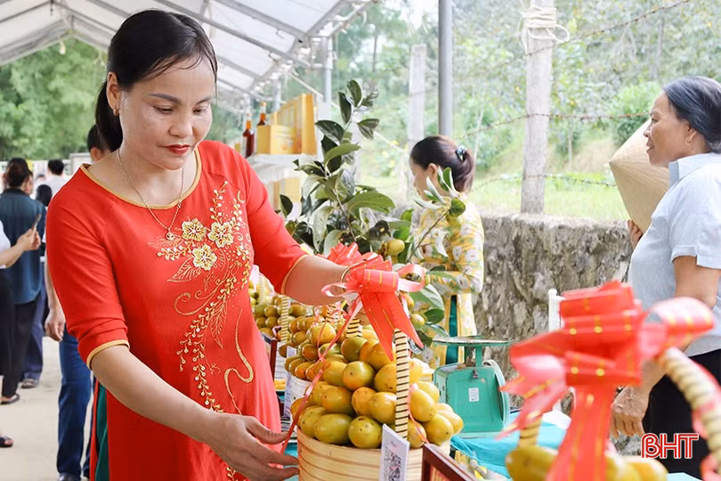 Các gian hàng được nhà vườn chuẩn bị cẩn thận phục vụ cho tuần lễ.