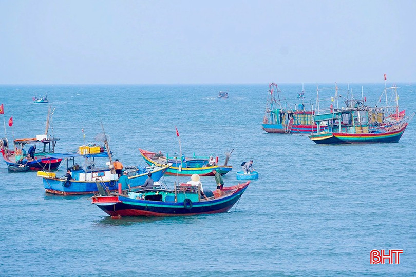 Toàn xã Thiên Cầm hiện có gần 200 tàu, thuyền đang hoạt động đánh bắt. bqbht_br_img-3367-copy.jpg