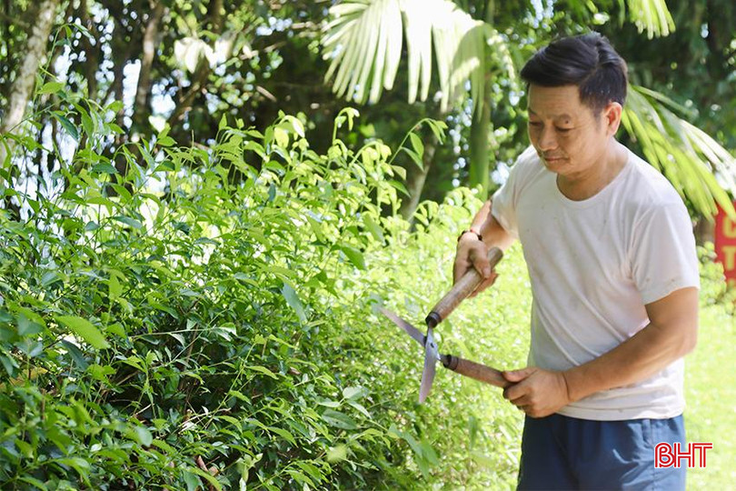 Những tuyến hàng rào xanh mướt được bà con cắt tỉa cẩn thận. IMG_9691 2 copy.jpg