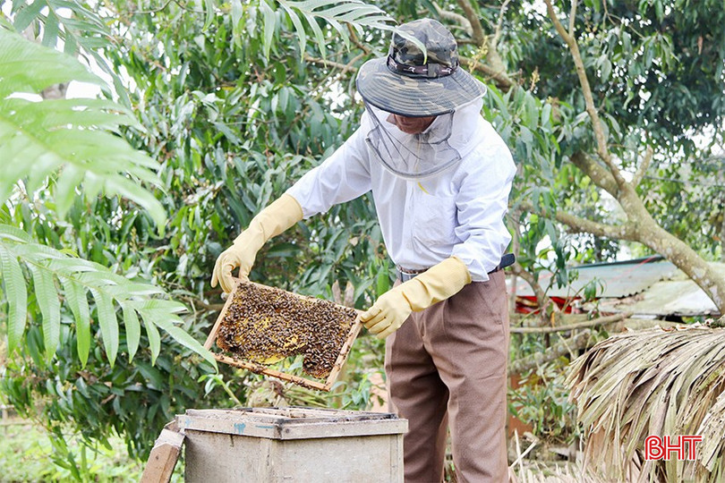 Mùa thu hoạch mật ong năm nay của người dân Vũ Quang muộn hơn so với trước. bqbht_br_img-0784-copy.jpg