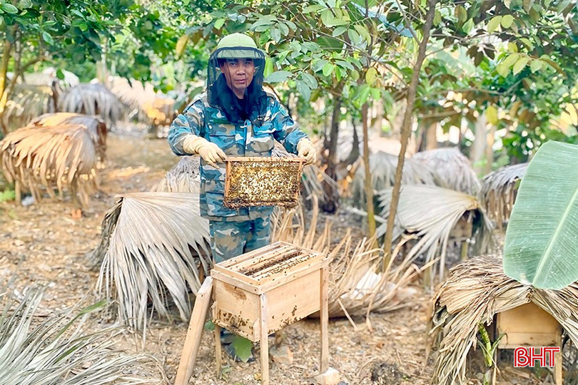Người nuôi ong ở xã Đức Giang lo lắng khi ong cho mật muộn hơn những năm trước. bqbht_br_img-8670-copy.jpg