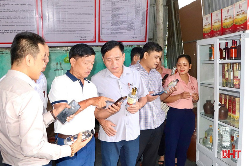 04216fe55511f34faa00 copy.jpg