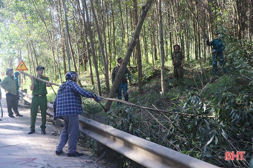 z5713782320137_76d055f847179ec9ab89f9be432263ae copy.jpg