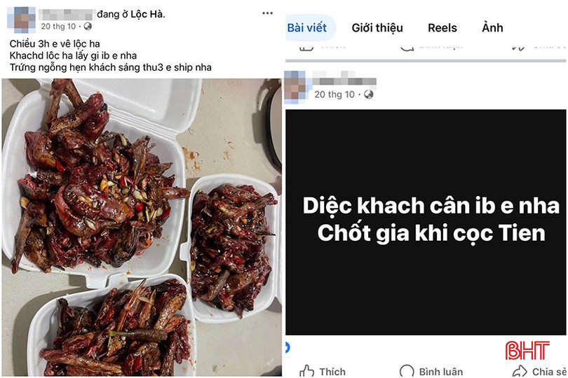Nhiều tài khoản Facebook vô tư rao bán các loại chim trời trên mạng xã hội. bqbht_br_z7161603455462-b713c4e24ed07843a77b635d7264ecd2.jpg