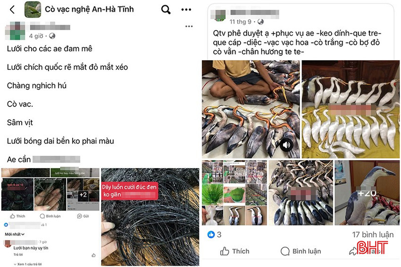 Việc bày bán các dụng cụ bẫy, bắt chim trời được thực hiện công khai trên mạng xã hội. bqbht_br_z7161557805215-9e9bb2f6b1355c3ca705d3a0150c492c.jpg