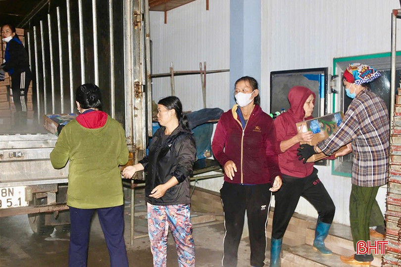 Cơ sở hải sản Quang Lành (thôn Liên Tân, xã Thạch Kim, Lộc Hà) tất bật thu mua hàng cho thị trường tết. bqbht_br_img-4069-copy.jpg
