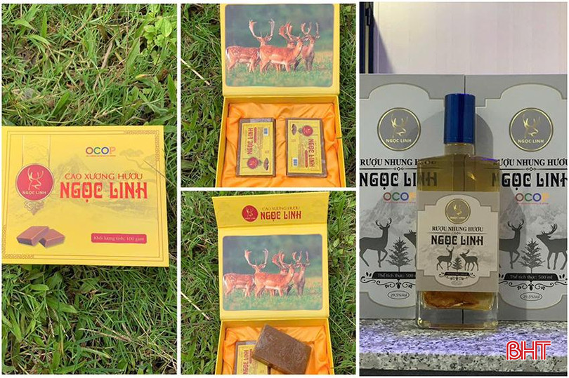 Sản phẩm cao xương hươu và rượu nhung hươu Ngọc Linh được công nhận đạt OCOP 3 sao vào tháng 7/2024. z5743615572797_6cfab013c2e2c1ec9c1d3d70148e6f10.jpg