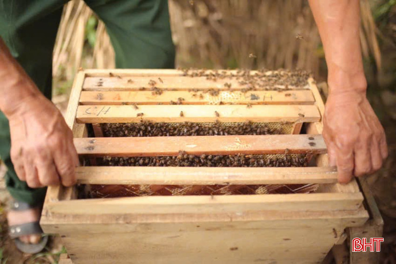 Ông Bính là người góp phần giúp hội viên trong thôn tiếp cận với các nguồn vốn chính sách để thoát nghèo. bqbht_br_z6039789657235-ed43061007d811548b5ac86340db98c2.jpg