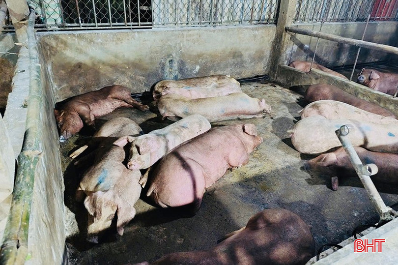 DTLCP ແມ່ນສັບສົນຢູ່ໃນຫວອດ Ha Huy Tap. bqbht_br_img-7197-copy.jpg