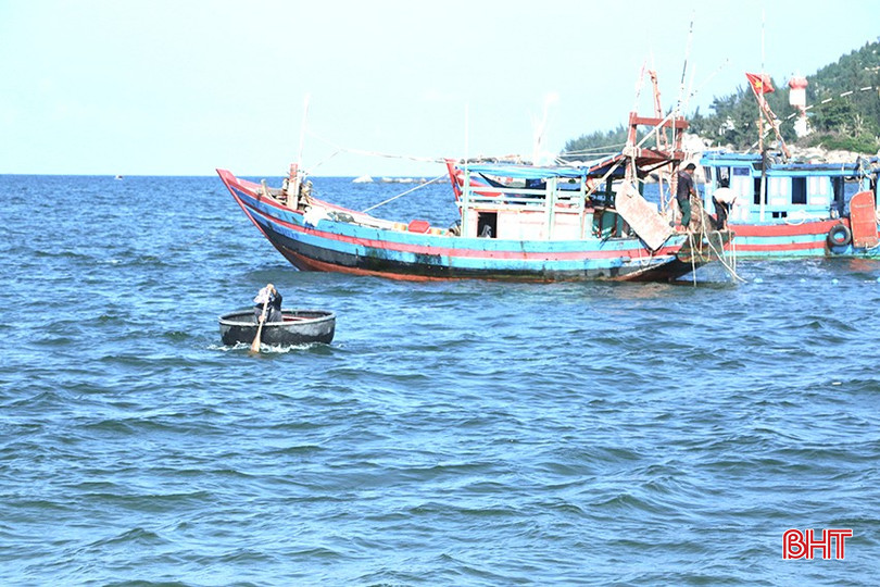 Những chuyến biển "mở hàng" đầu năm mới mang theo nhiều dự cảm tốt đẹp về một năm mưa thuận gió hoà. bqbht_br_img-6426-2-copy.jpg