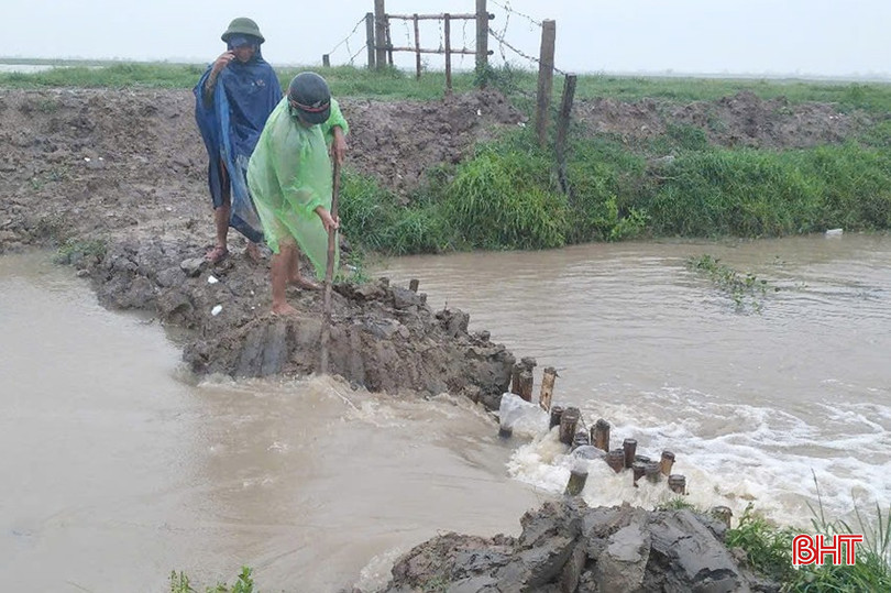 Các địa phương ở TP Hà Tĩnh tập trung khơi thông hệ thống thủy lợi, giúp nước trong các chân ruộng được rút nhanh hơn, góp phần hạn chế thiệt hại.