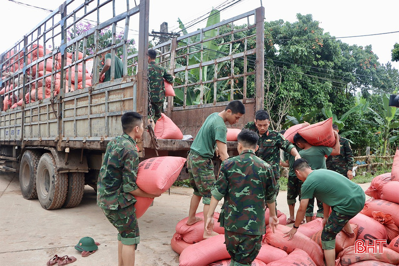 Mục tiêu cao nhất lúc này là giảm thiểu thiệt hại, giúp người dân vớt vát thành quả lao động và nhanh chóng ổn định cuộc sống sau thiên tai.