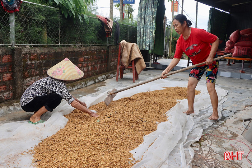 Tại huyện Cẩm Xuyên, mưa lớn cũng đã gây thiệt hại lớn cho người dân. Huyện đã nhanh chóng huy động hơn 100 cán bộ, chiến sĩ thuộc Trung đoàn 841, Ban CHQS huyện cùng với lực lượng dân quân tại các xã để hỗ trợ bà con bốc dỡ, vận chuyển lúa ướt đến nơi cao ráo và phơi sấy.