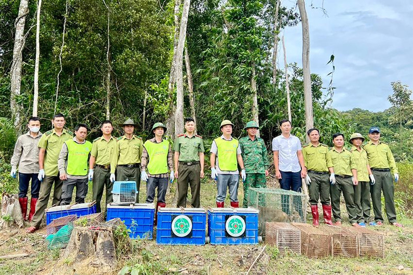 fb208054c04765193c56 copy.jpg