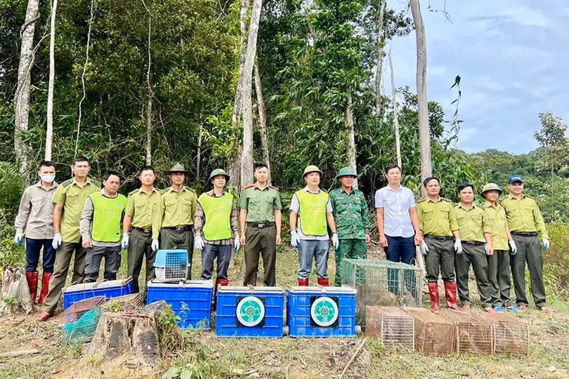 fb208054c04765193c56 copy.jpg