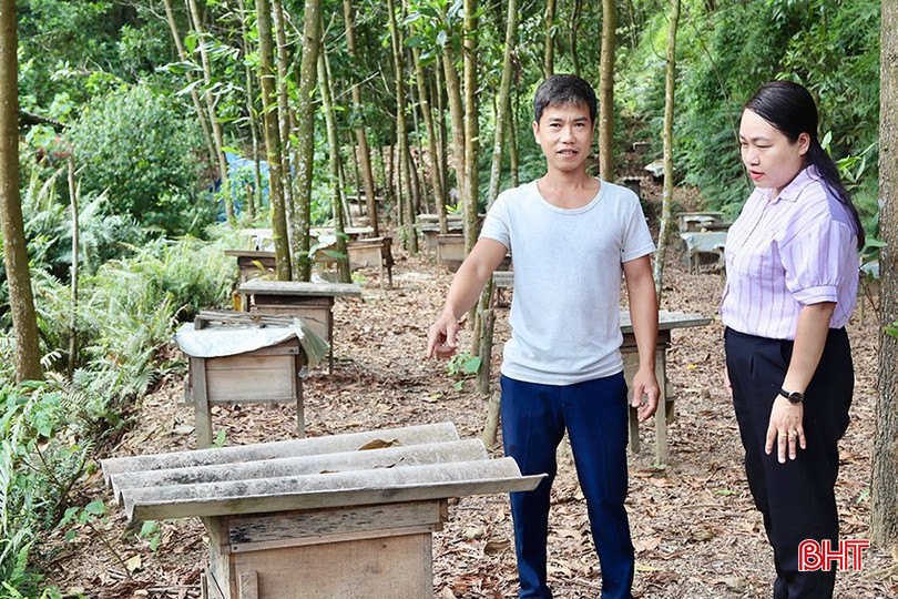 Được đội ngũ bí thư chi bộ tuyên truyền, vận động, nhiều hộ dân đã mạnh đầu tư phát triển kinh tế, tích cực trong xây dựng NTM. bqbht_br_mm1.jpg