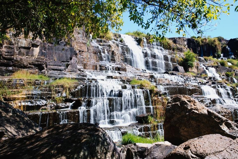 co mot da lat rat tinh cho nhung chuyen phieu du