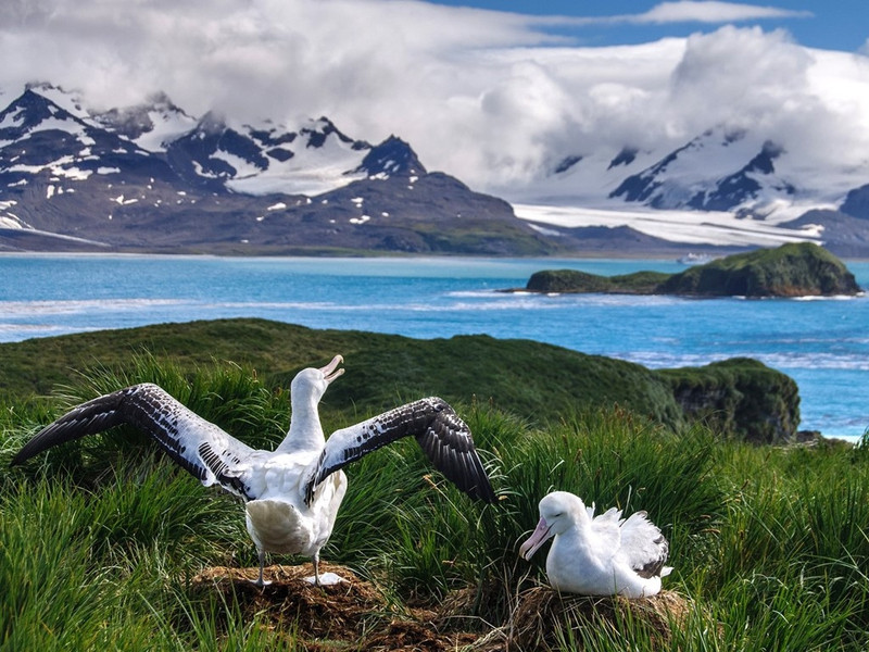 nhung hinh anh khien ban muon toi nam cuc ngay lap tuc