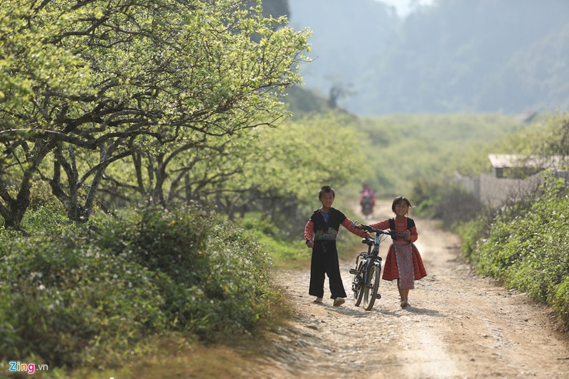 moc chau dep nhu tranh nhung ngay dau xuan