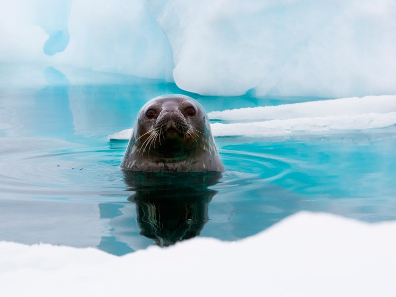 nhung hinh anh khien ban muon toi nam cuc ngay lap tuc