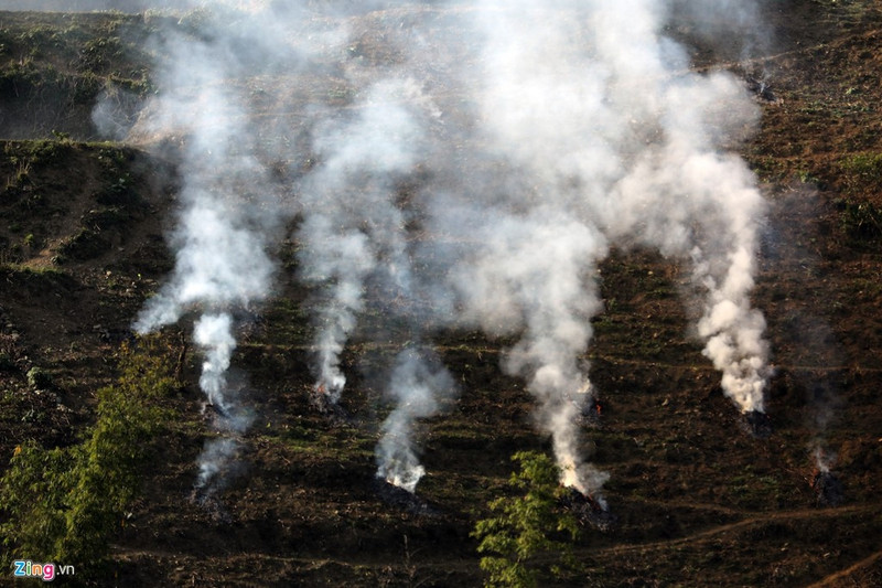 moc chau dep nhu tranh nhung ngay dau xuan