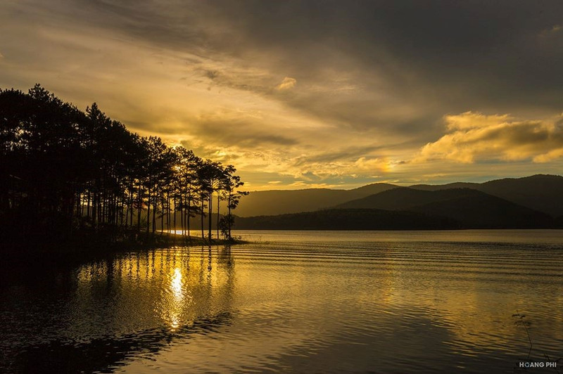 co mot da lat rat tinh cho nhung chuyen phieu du