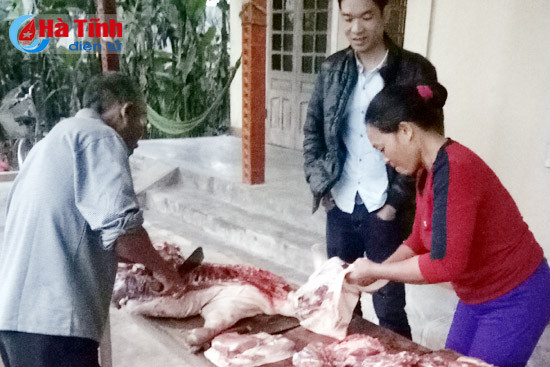 chan nuoi lon trong con bao thi truong tieu thuong dac loi