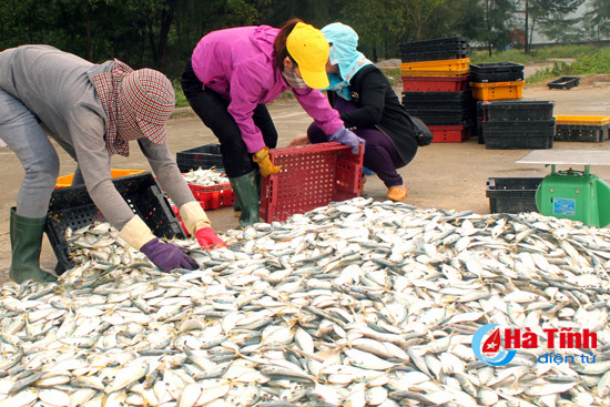 thuyen ve ca lai day khoang