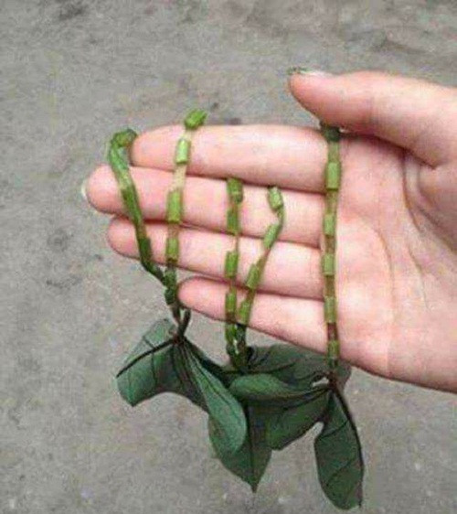 10 anh hai hot nhat facebook trong ngay