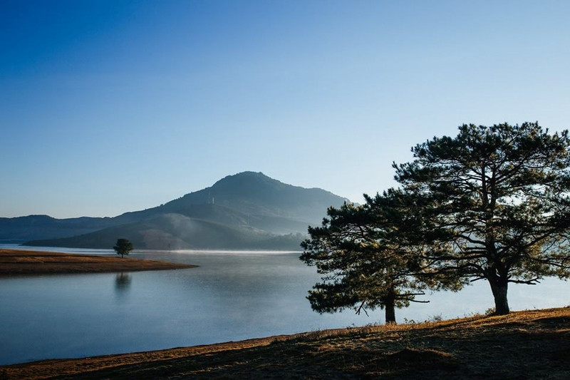 co mot da lat rat tinh cho nhung chuyen phieu du