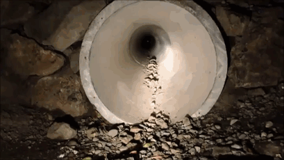 nhung cay cau cuu song ca trieu dong vat moi nam