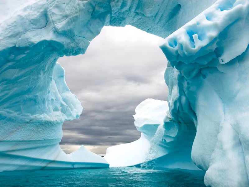 nhung hinh anh khien ban muon toi nam cuc ngay lap tuc