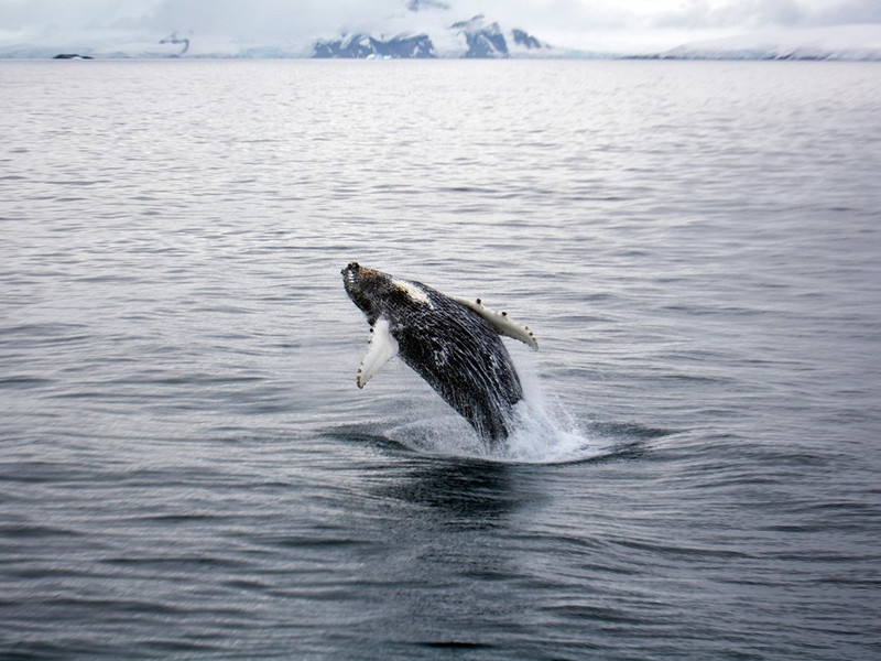 nhung hinh anh khien ban muon toi nam cuc ngay lap tuc