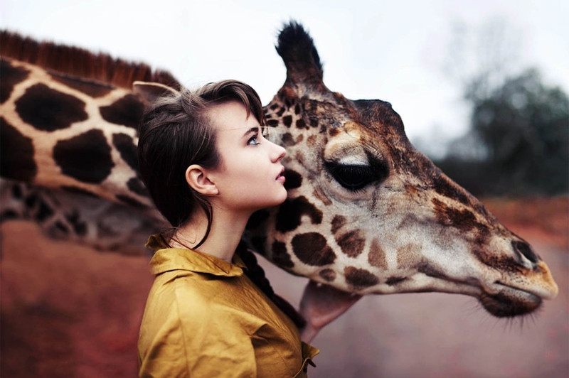 ban se khong con co don khi ngam nhung hinh anh nay