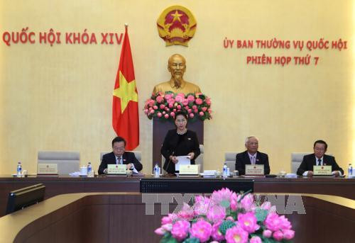 phap nhan se phai chiu trach nhiem hinh su voi toi tai tro khung bo rua tien