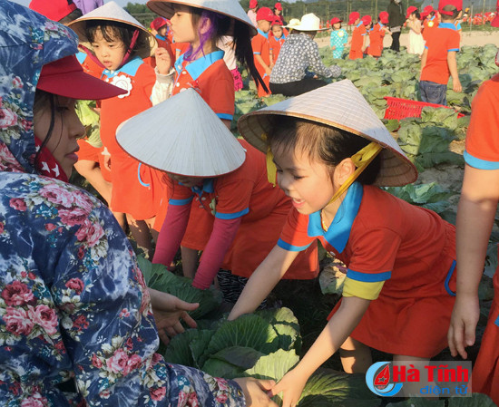 to chuc cho tre trai nghiem thuc te thiet thuc nhung phai an toan