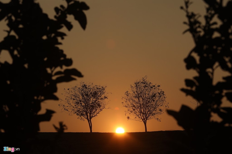 moc chau dep nhu tranh nhung ngay dau xuan