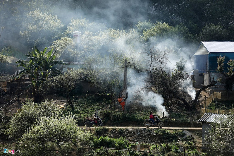 moc chau dep nhu tranh nhung ngay dau xuan