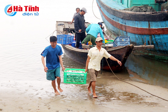 thuyen ve ca lai day khoang