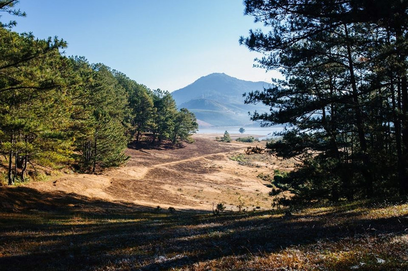 co mot da lat rat tinh cho nhung chuyen phieu du