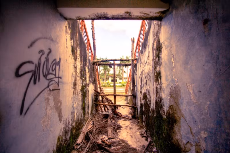 cong vien ma mi o hue len bao nuoc ngoai