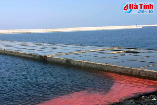 vet nuoc do tai son duong la hien tuong thien nhien nam nao cung xuat hien