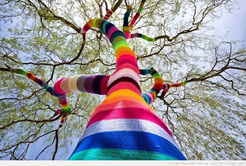 ban se khong con co don khi ngam nhung hinh anh nay