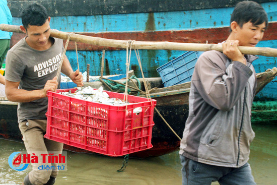 thuyen ve ca lai day khoang