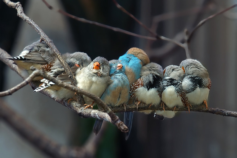 ban se khong con co don khi ngam nhung hinh anh nay