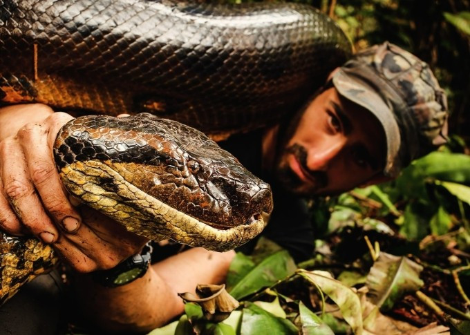 Con trăn anaconda dài gần 6m Paul từng đụng độ. Ảnh: Paul Rosolie