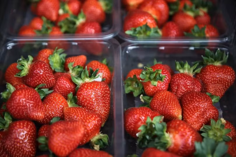 Dâu tây là thực phẩm có nguy cơ cao nhất bị dư lượng thuốc trừ sâu tại Mỹ. Ảnh minh họa: AFP