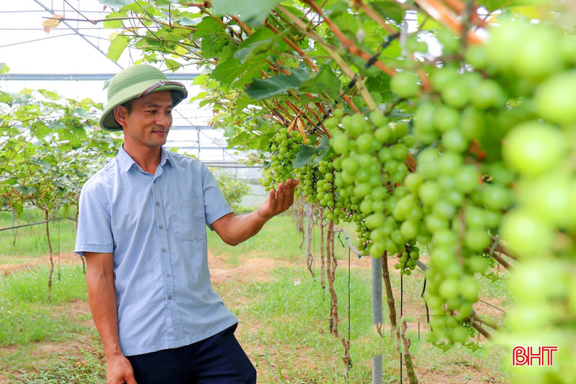 Hà Tĩnh xây dựng nền nông nghiệp hiện đại, thúc đẩy CNH-HĐH nông nghiệp nông thôn. bqbht_br_image-1-129.jpg