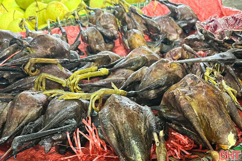 image-1.jpg